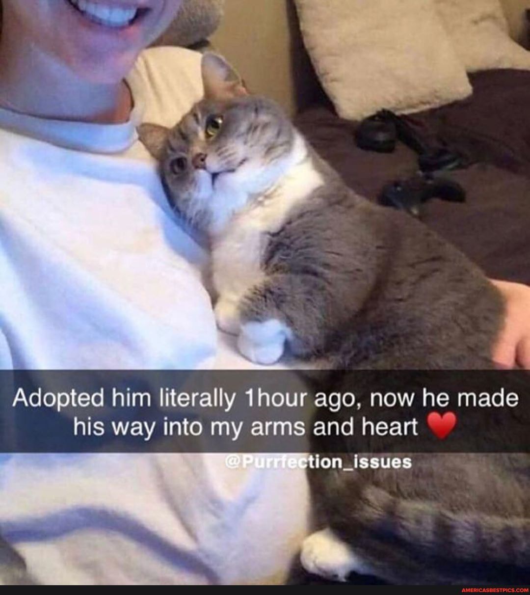 Adopted him literally 1hour ago, now he made his way into my arms and heart