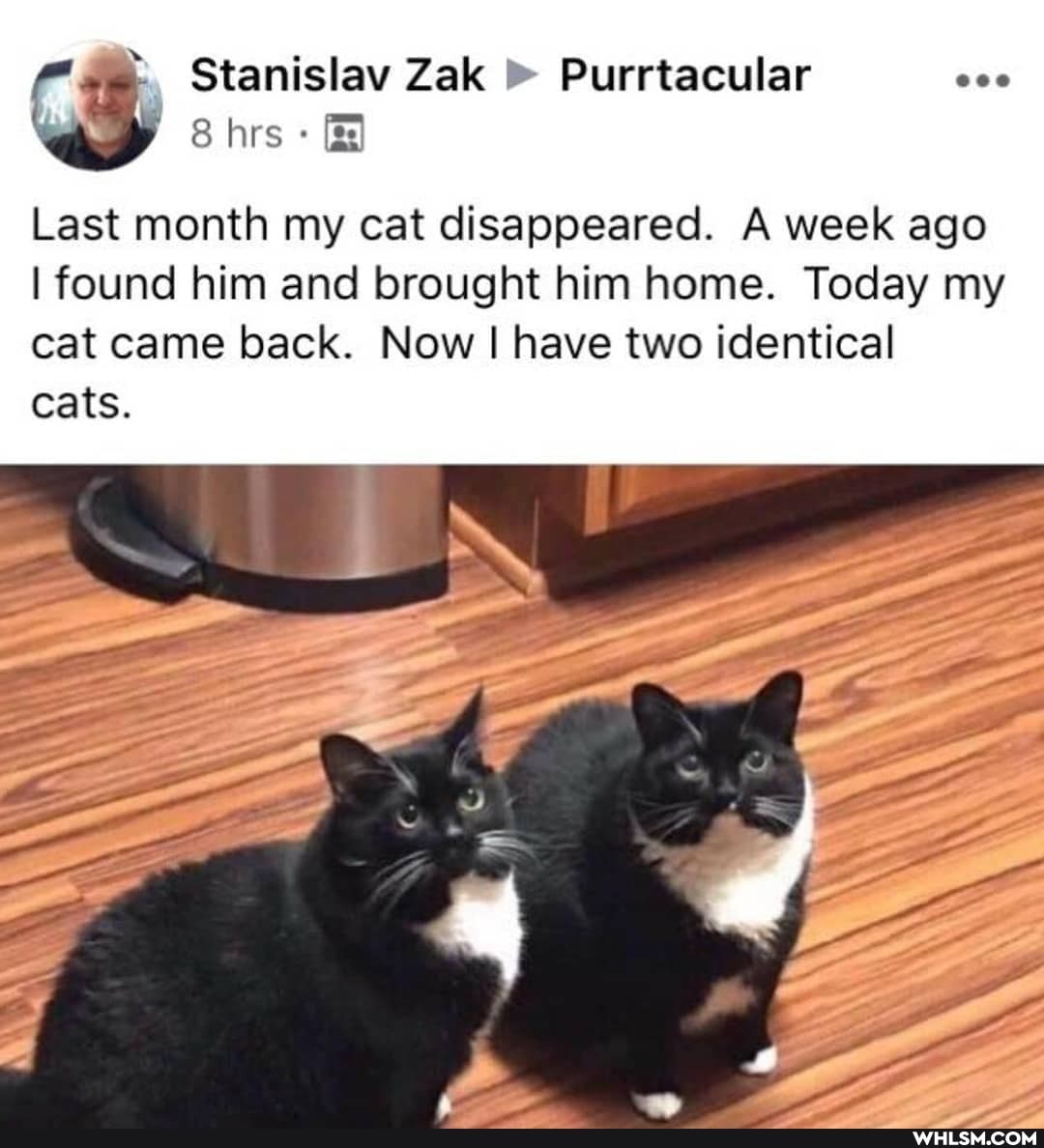 Stanislav hrs Zak Purrtacular
Last month my cat disappeared. A week ago
I found him and brought him home. Today my cat came back. Now I I have two identical
cats.