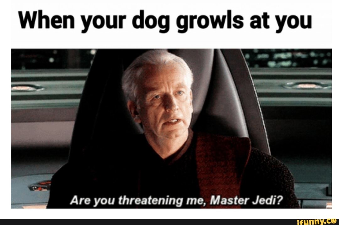 When Your Dog Growls At You Are Threatening Me Master Jedi Ifunny When Your Dog Growls At You Are