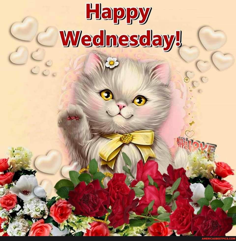 Happy
Wednesday!
\ro (