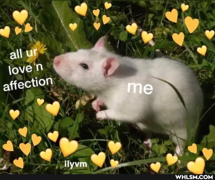all
{ove affectton
me
