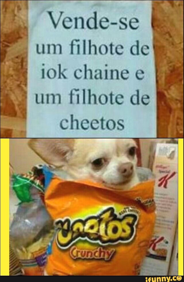 Vende-se
um filhote de
iok chaine e
um filhote de