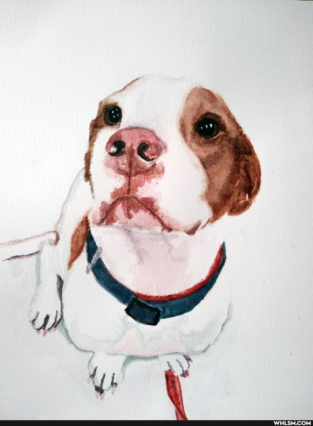 art, dog, aww, awesome