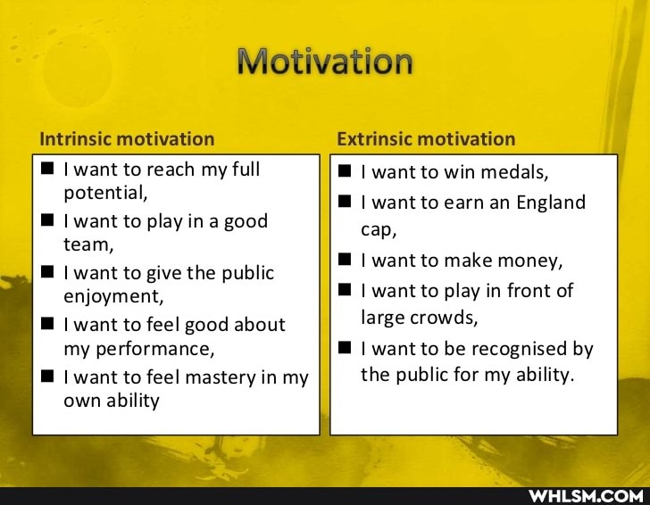 Presentation about motivation. Motivation in language learning. Motivation in language learning. Мотивация. What is motivation.