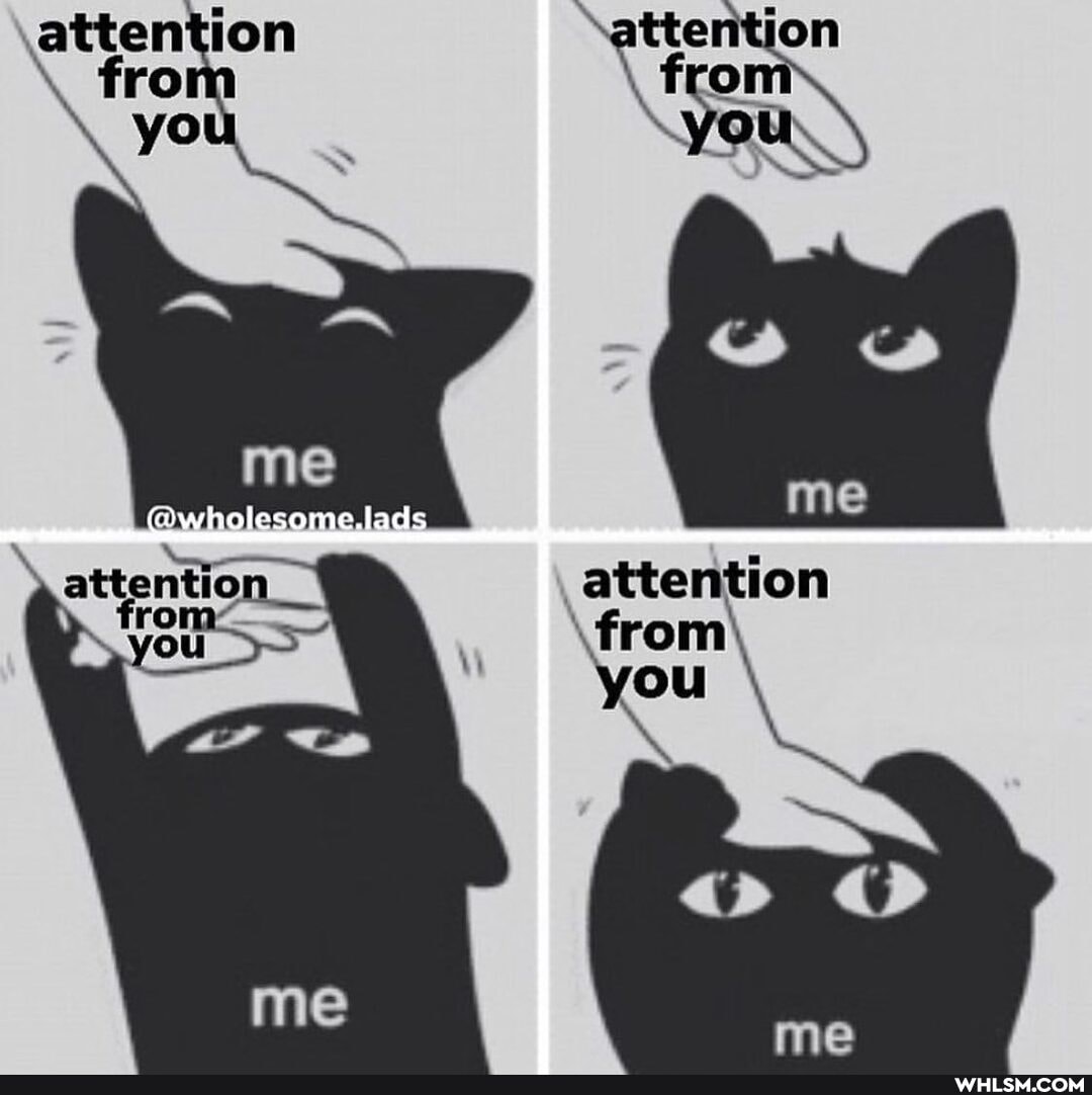 attention
\rom