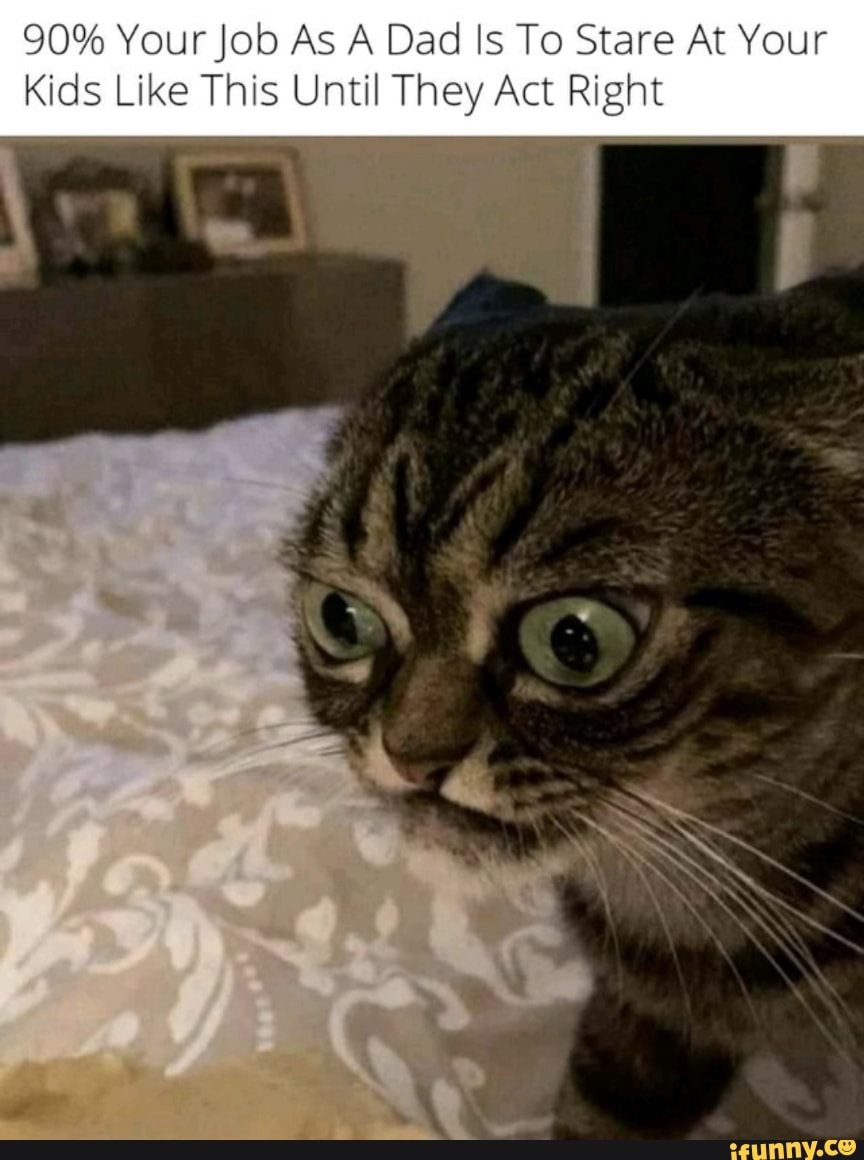 90% Your Job As A Dad Is To Stare At Your
Kids Like This Until They Act Right