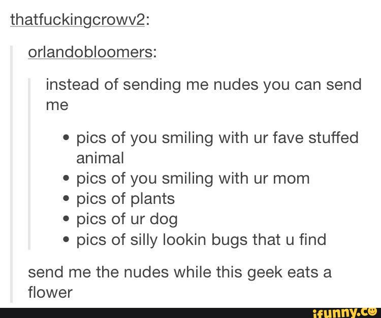 thatfuckingcrova:
o_rlandobloomers:
instead of sending me nudes you can send
me
'
pics of you smiling with ur fave stuffed
animal
'
pics of you smiling with ur mom
º
pics of plants
'
pics of ur dog
'
pics of silly lookin bugs that u find
send me the nudes While this geek eats a
flower