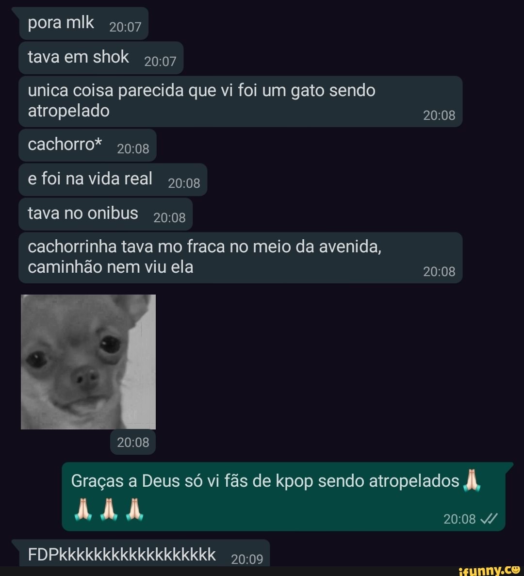 pora mik tava em shok
unica coisa parecida que vi foi um gato sendo atropelado
cachorro* e foi na vida real tava no onibus
cachorrinha tava mo fraca no meio da avenida, caminhão nem viu ela
Graças a Deus só vi fãs de kpop sendo atropelados
FDPkkkkkkkkkkkkkkkkkk