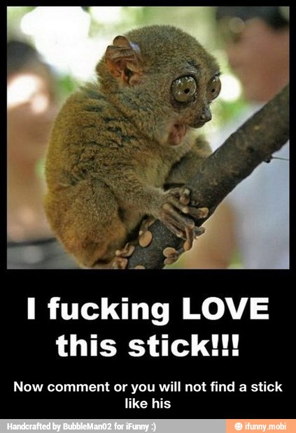 I fucking LOVE
this stick!!!
Now comment or you will not find a stick
like his - Now comment or you will not find a stick like his