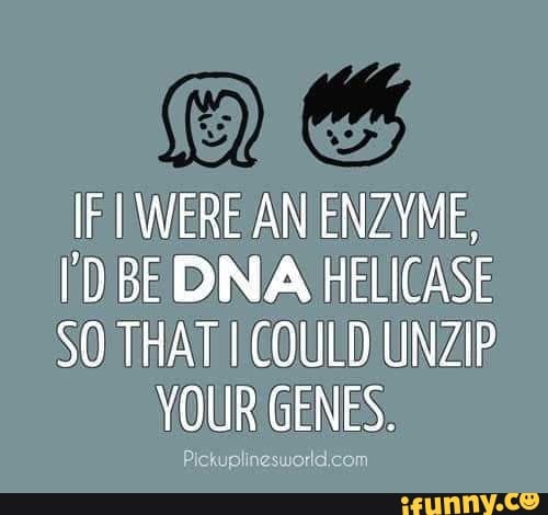 Helicase memes. Best Collection of funny Helicase pictures on iFunny