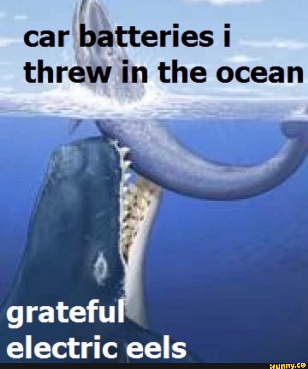 Car batteries threw in the ocean grateful electric eels iFunny