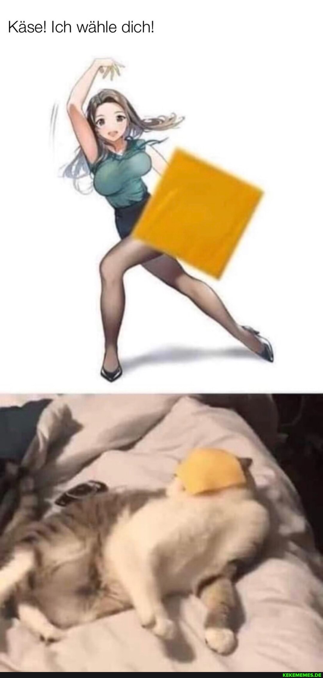 Käse! Ich wähle dich!