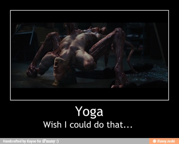 Yoga
Wish I could do that... - Yoga
Wish I could do that...