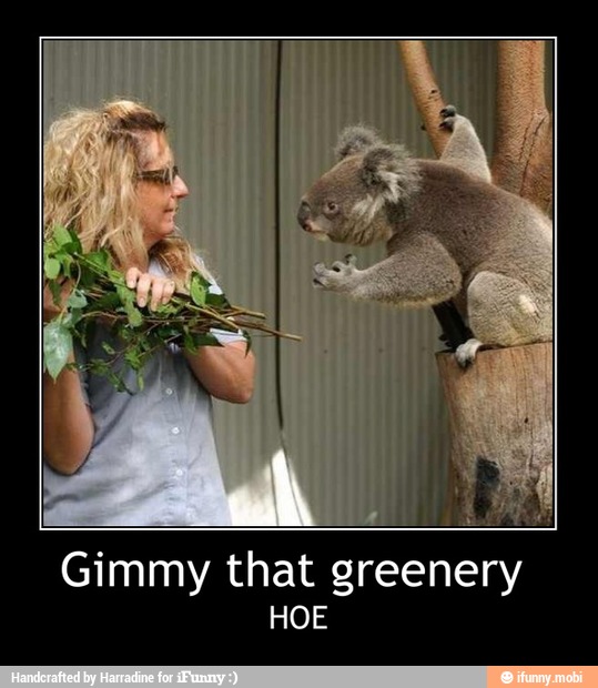Gimmy that greenery
HOE