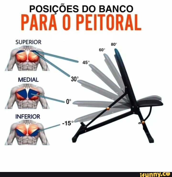 POSIÇÕES DO BANCO PARA O PEITORAL SUPERIOR MEDIAL INFERIOR - iFunny Brazil