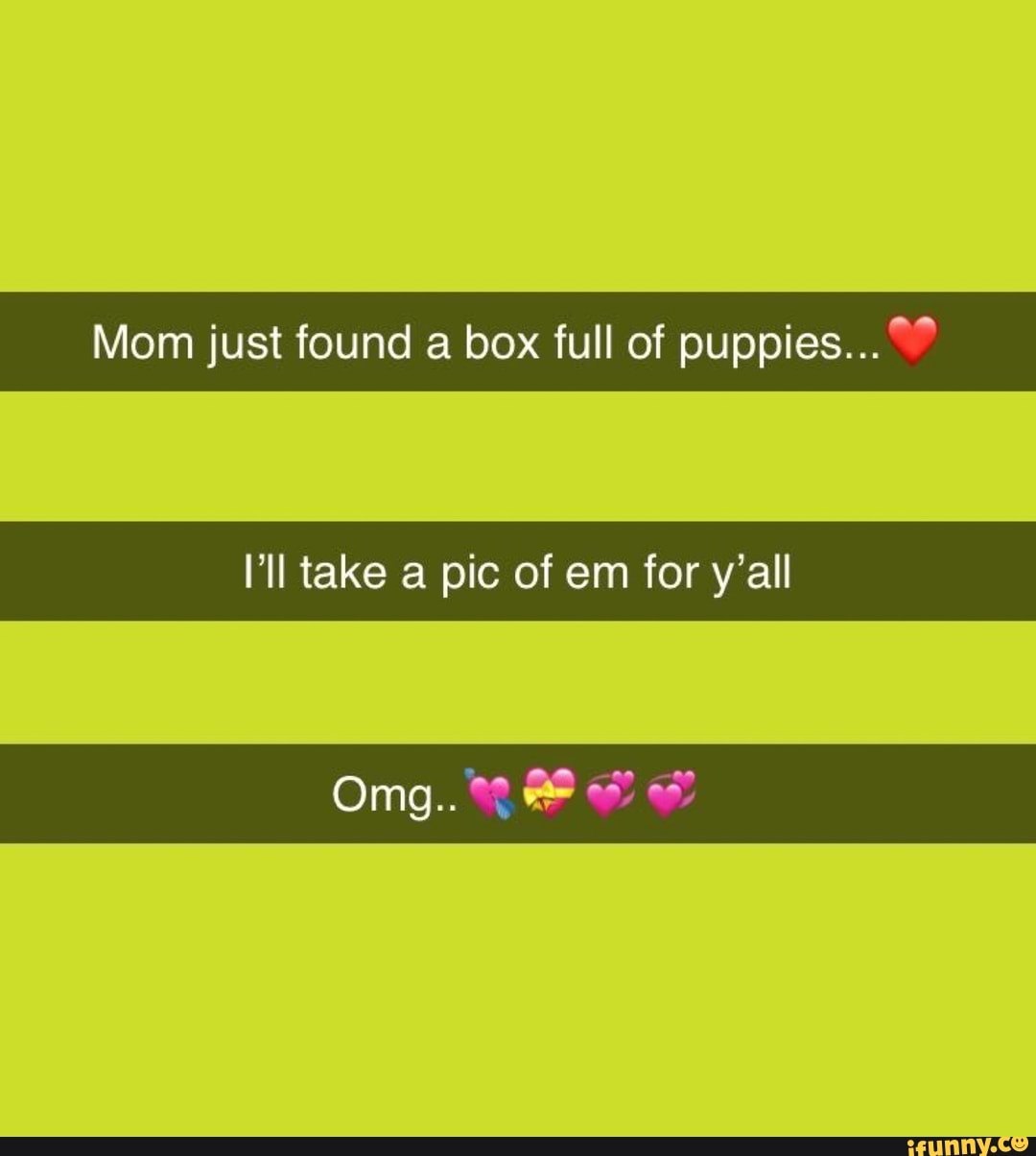 Mom just found a box full of puppies..."
I'll take a pic of em for y'all