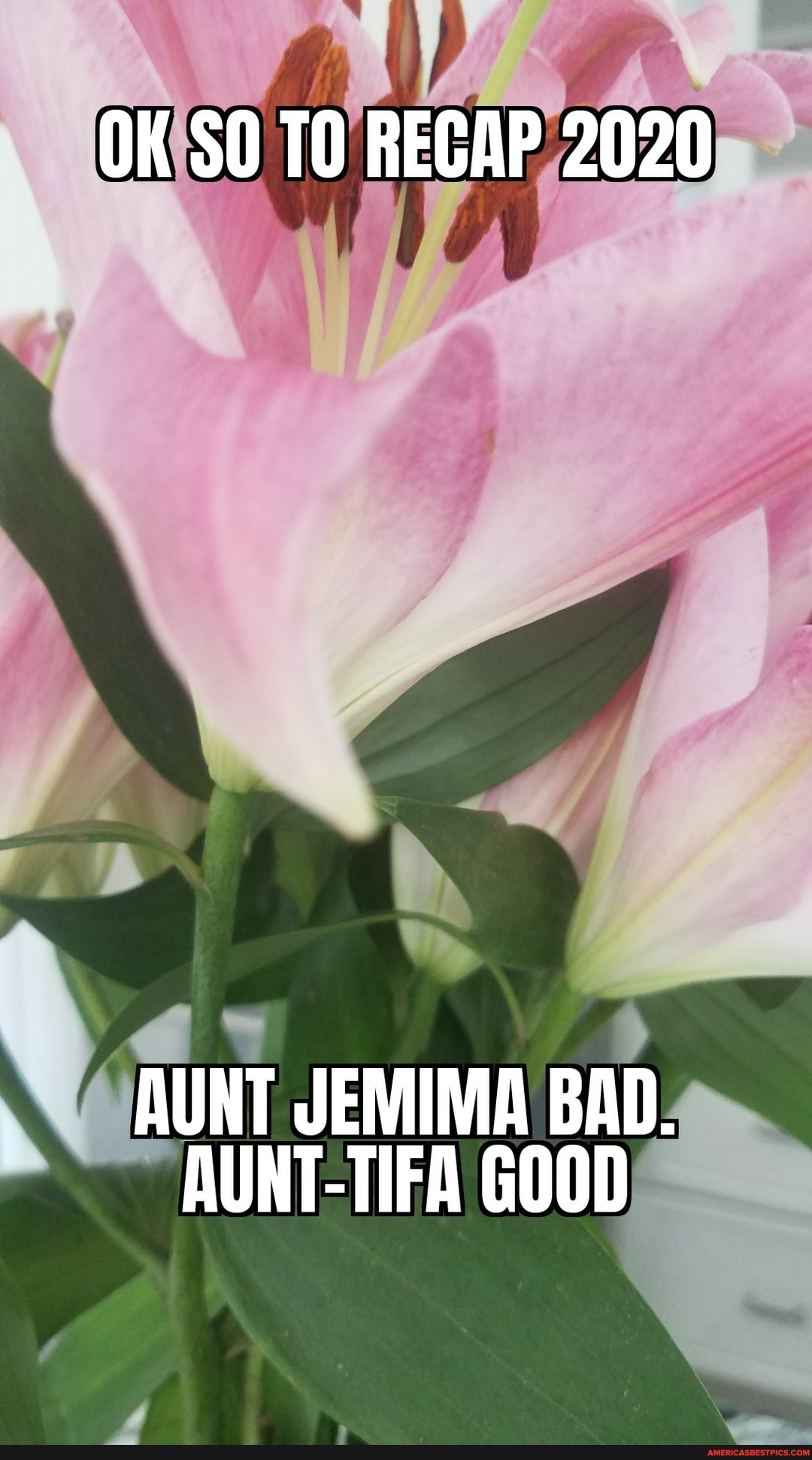 OK SO TO RECAP 2020
AUNT JEMIMA BAD.
AUNT-TIFA GOOD