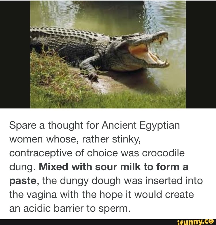 Spare A Thought For Ancient Egyptian Women Whose Rather Stinky Contraceptive Of Choice Was