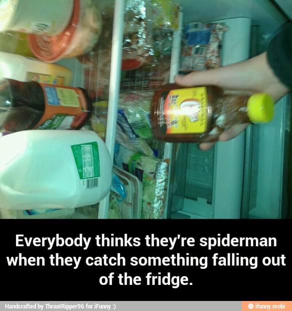 Everybody thinks they're spiderman
when they catch something falling out
of the fridge. - Everybody thinks they're spiderman when they catch something falling out of the fridge.
