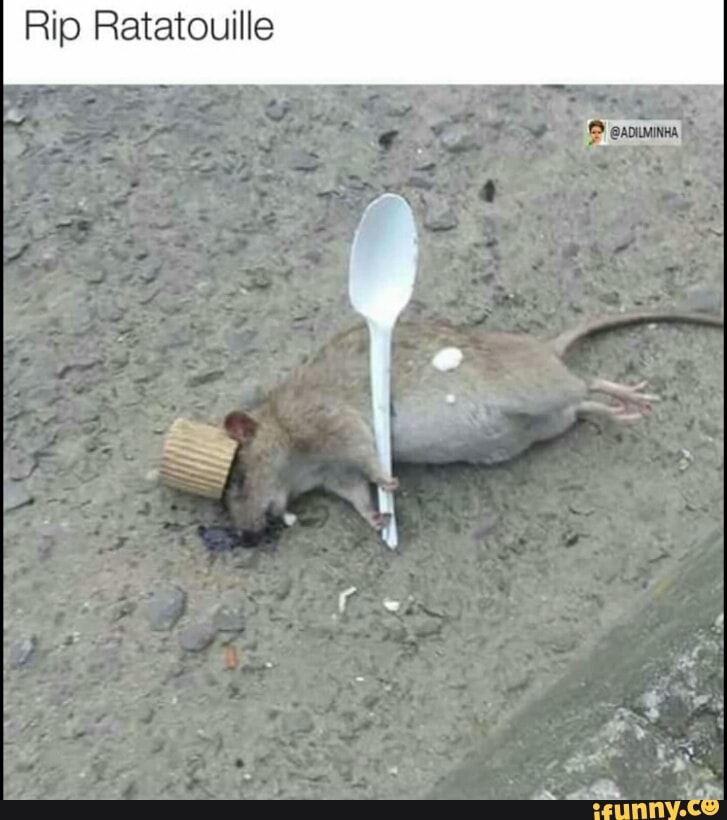 Rip Ratatouille
