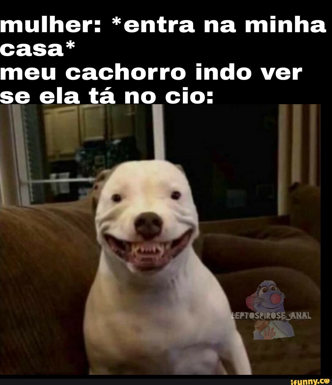 mulher: *entra na minha casa*
meu cachorro indo ver se ela tá no cio:
ANAL