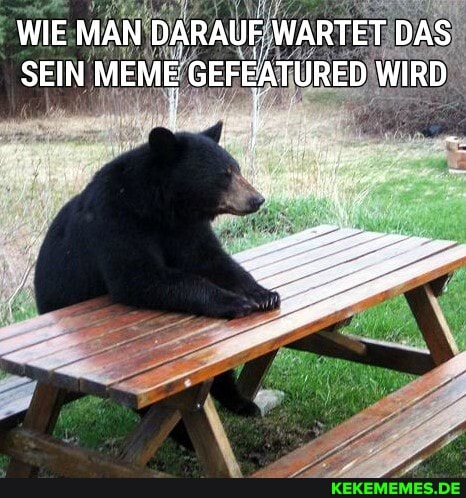 WIE MAN DARAUF WARTET DAS SEIN MEME GEFEATURED WIRD