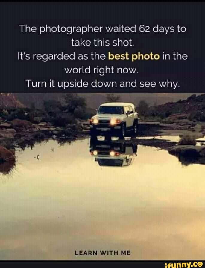 The photographer waited 62 days to take this shot. It's regarded as the