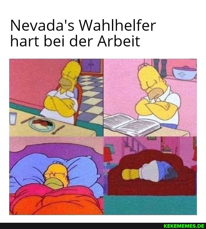 Nevada's Wahlhelfer hart bei der Arbeit