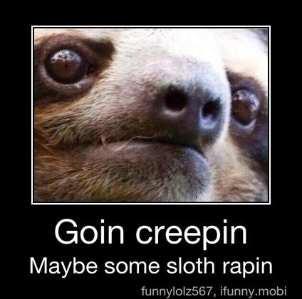 Goin creepin
Maybe some sloth rapin - Goin creepin
Maybe some sloth rapin