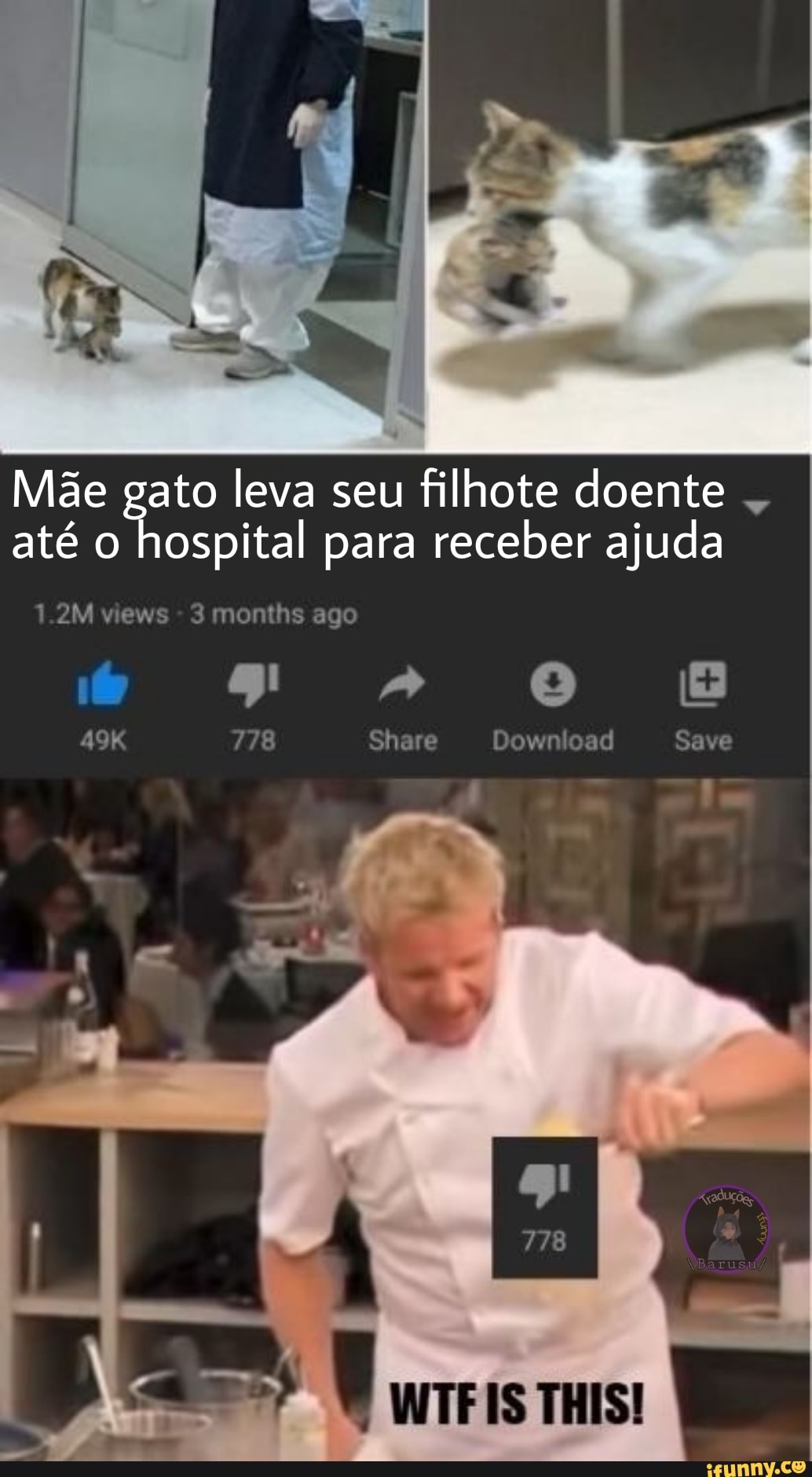 Mãe gato leva seu filhote doente até o hospital para receber ajuda
SN
778 Share Download Save
1.2M views hs ago
WTF IS THIS!