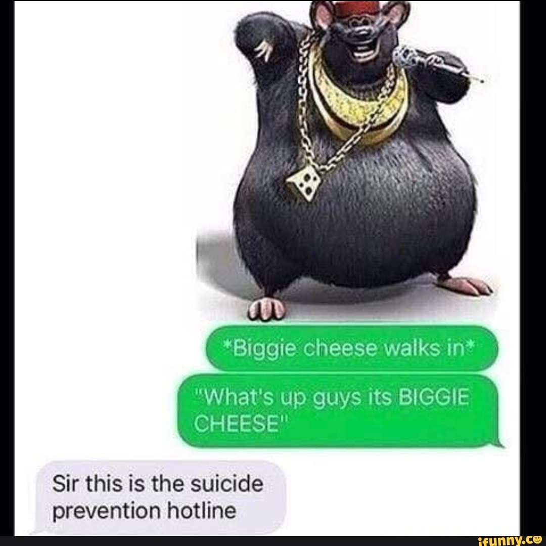 *Biggie cheese walks in* "What's up guys its BIGGIE CHEESE" Sir this is