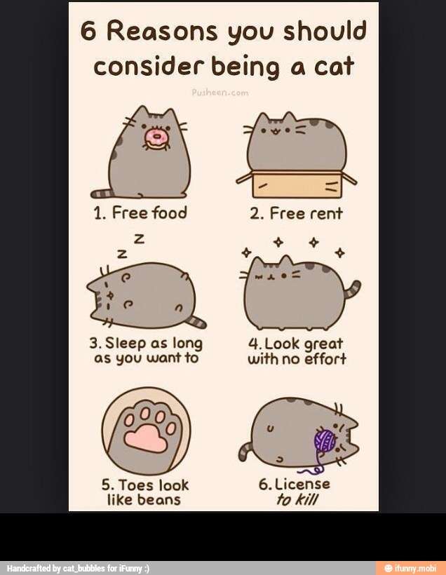 6 Reasons you should
consider being a cat
2. Free rent
3. Sleep as long 4. Look great
as you want to with no effort -