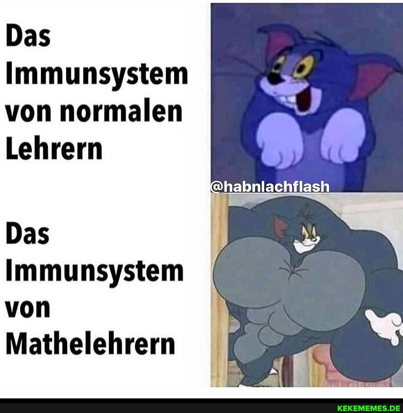 Das
Immunsystem von normalen
Lehrern
[@habnlachflash
Das
Immunsystem von
Mathelehrern