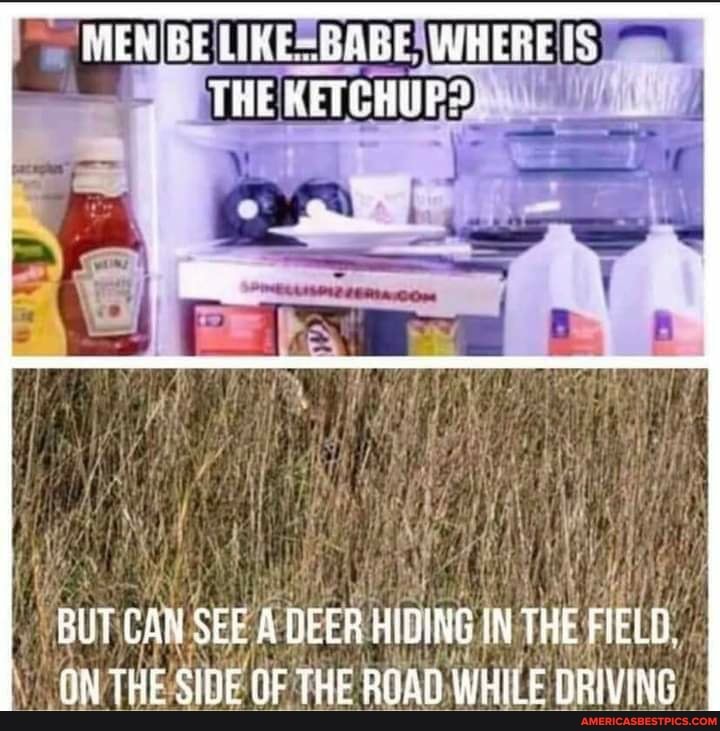 MEN BE LIKE GOBF WHERE THE KETCHUF?
BUT CAN SEE A TDEER HIGING IN THE FIELB.
ON THE SIDE THE ROAD WHILE DRIVING