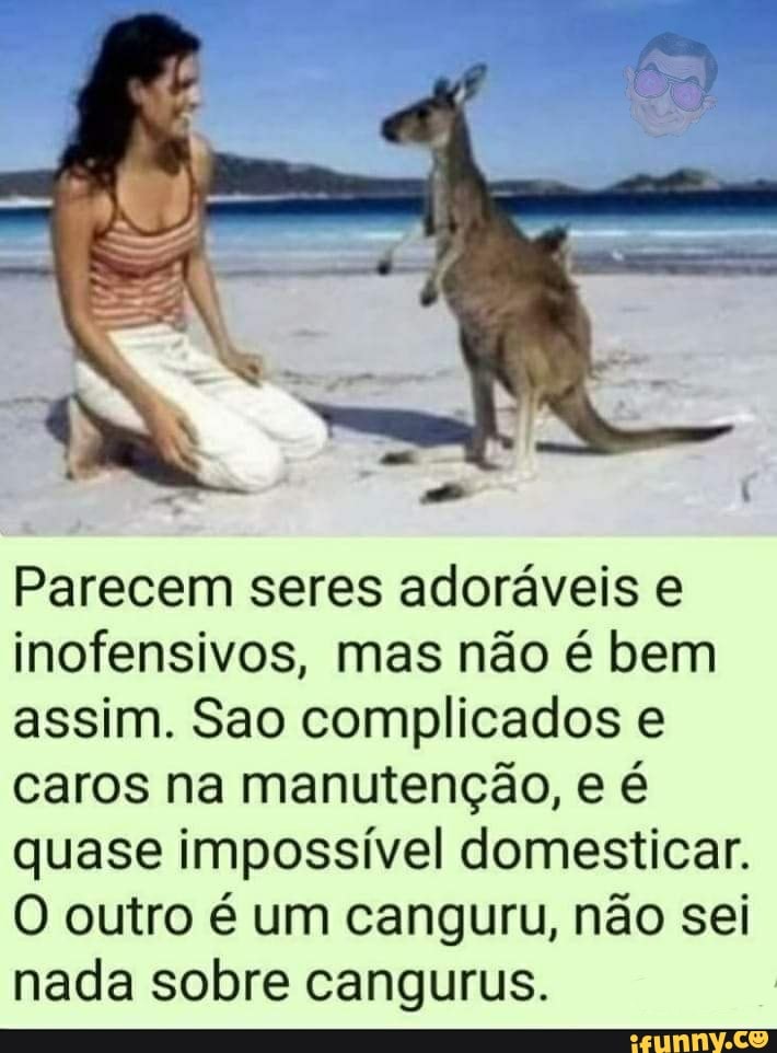 Parecem seres adoráveis inofensivos, mas não é bem assim. Sao complicados e caros na manutenção, e é quase impossível domesticar.
O outro é um canguru, não sei nada sobre cangurus.