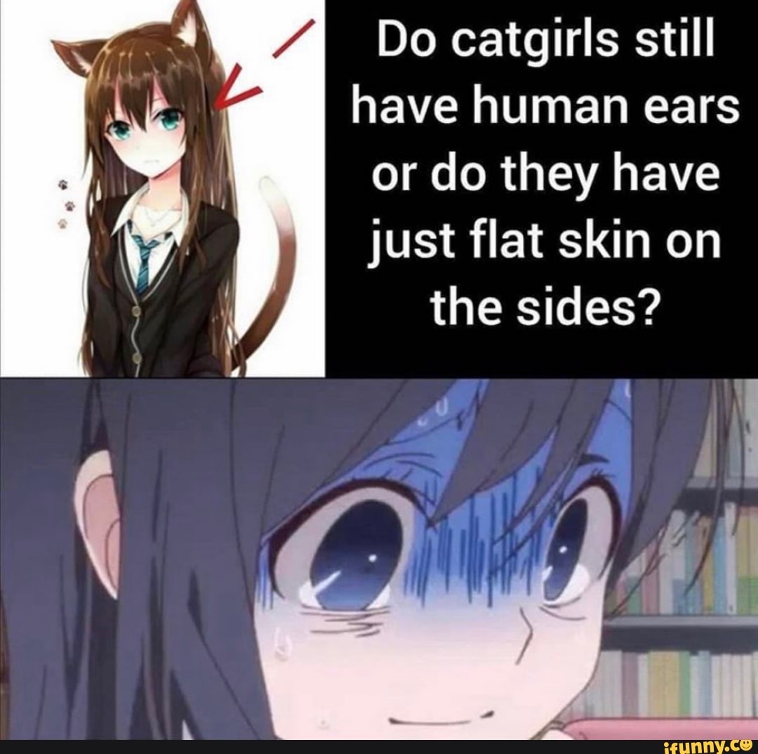 Do catgirls still have human ears or do they have just flat skin on the ...