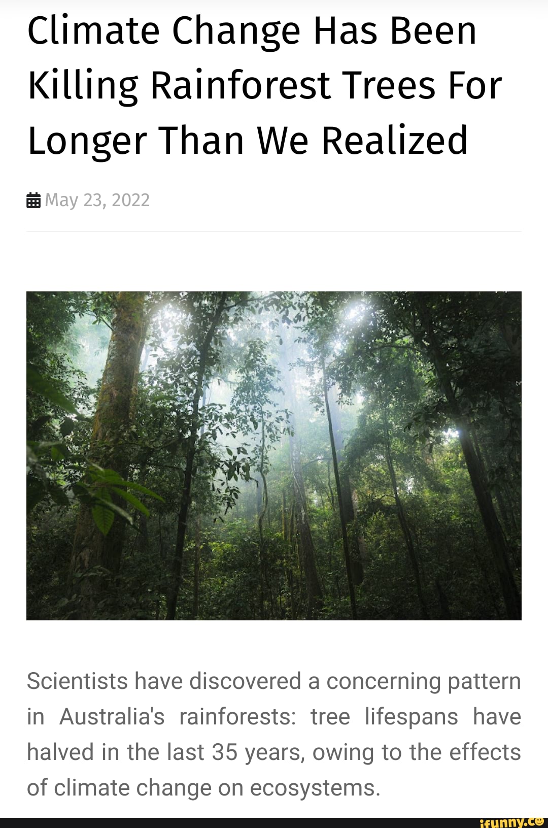 Climate Change Has Been Killing Rainforest Trees For Longer Than We ...