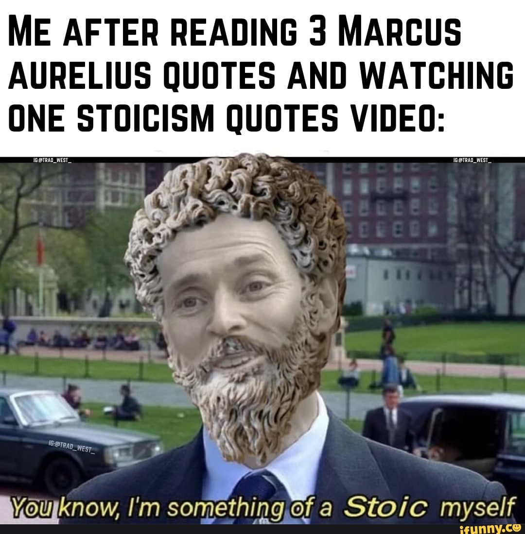 ME AFTER READING 3 MARCUS AURELIUS QUOTES AND WATCHING ONE STOICISM QUOTES  VIDEO: Byoupknow, I'm something of a Stoic myself 