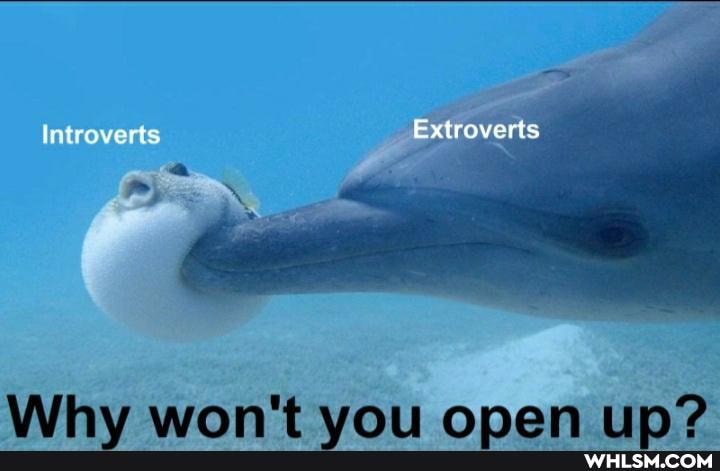 Introverts Extroverts
wann