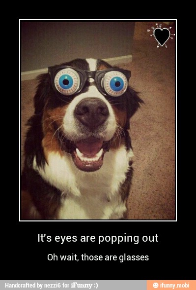 It's eyes are popping out
Oh wait, those are glasses - It's eyes are popping out
Oh wait, those are glasses