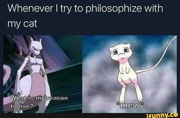 Whenever I try to philosophize with my cat