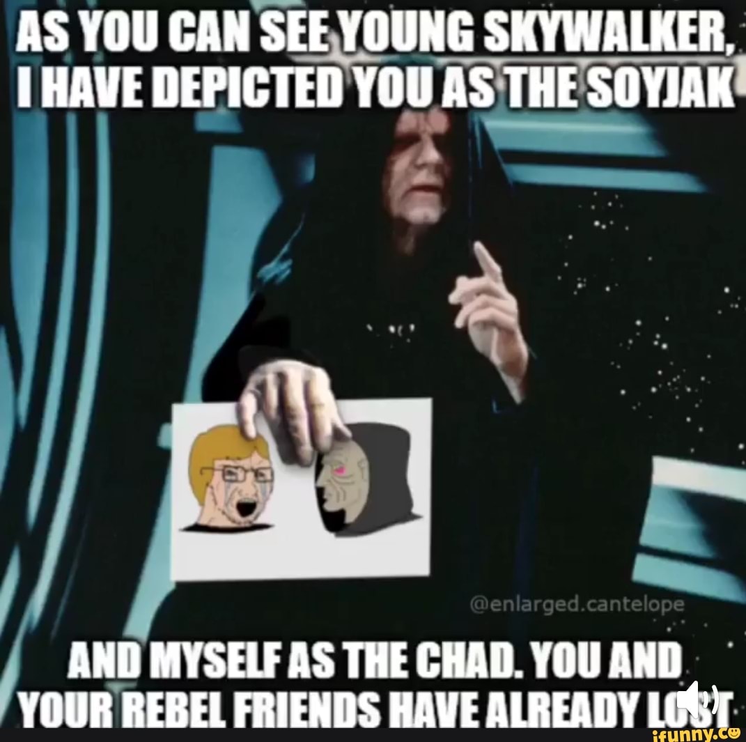 AS YOU CAN SEE YOUNG SKYWALKER, HAVE DEPICTED YOU AS THE SOYJAK AND ...