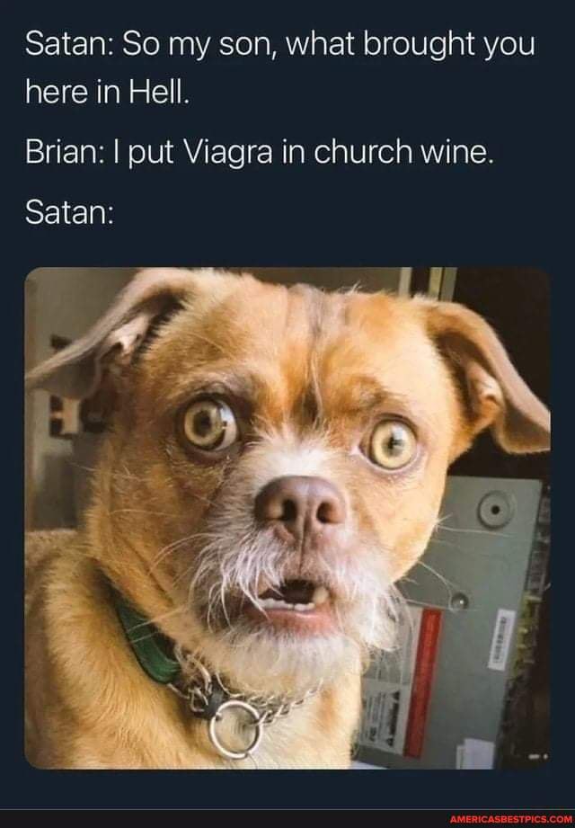 Satan: So my son, what brought you here in Hell.
Brian: I put Viagra in church wine.
Satan: