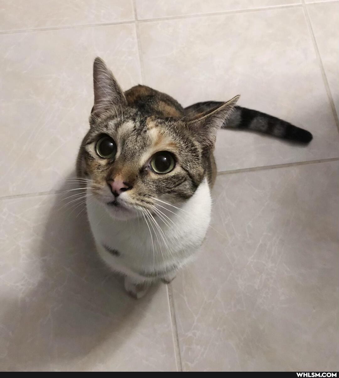 complete, sucker, lulu, mother, treat, face