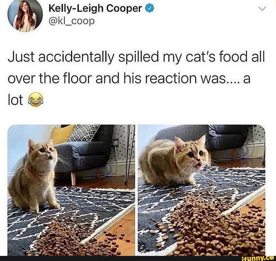 Kellly-Leigh Cooper Just accidentally spilled my cat's food all over ...