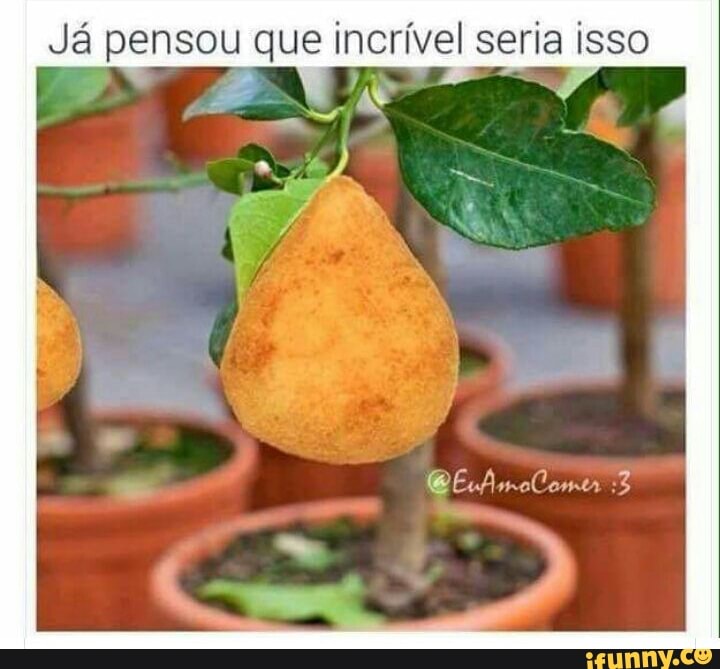 Já pensou que incrível seria isso