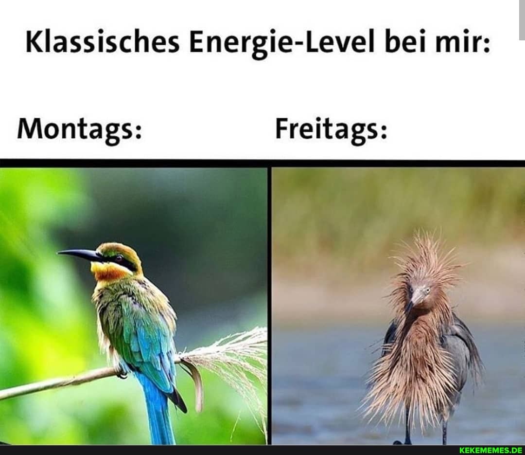 Klassisches Energie-Level bei mir:
Montags: Freitags: