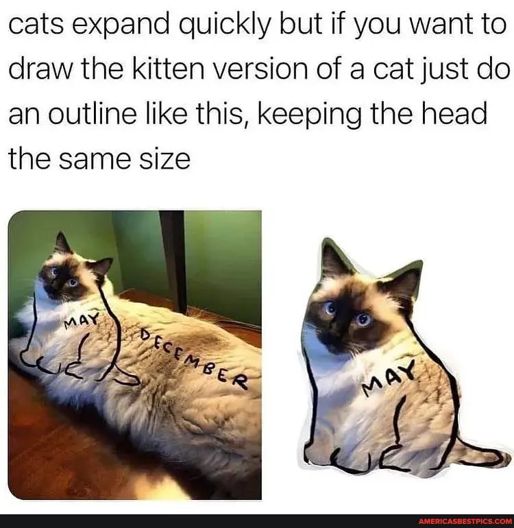 Version memes. Best Collection of funny Version pictures on ...