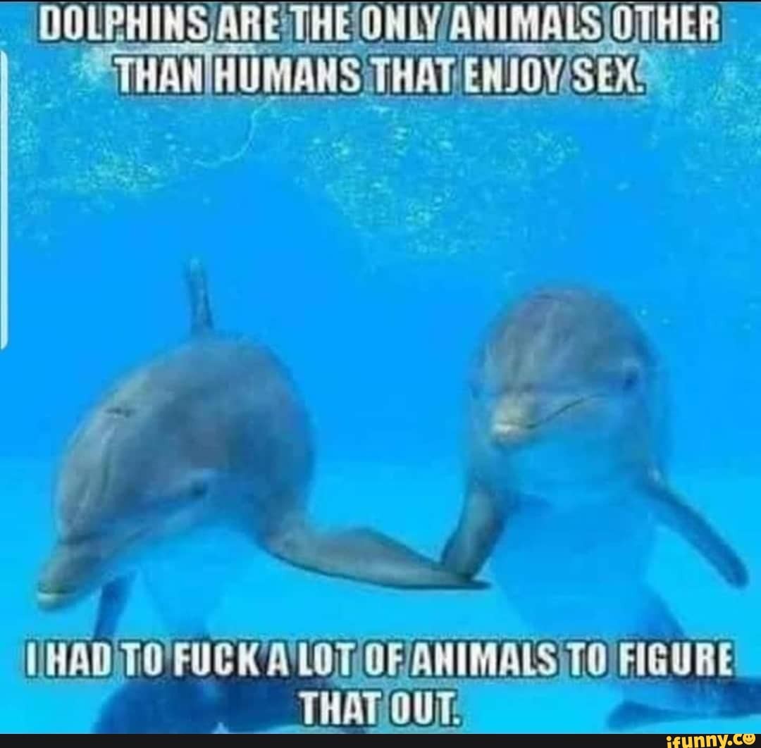 DOLBHINS ARETHE ONLY ANIMALS/OTHER
¿ETHAN HUMANS THAT ENJOVISEXS
THAT OUT:
