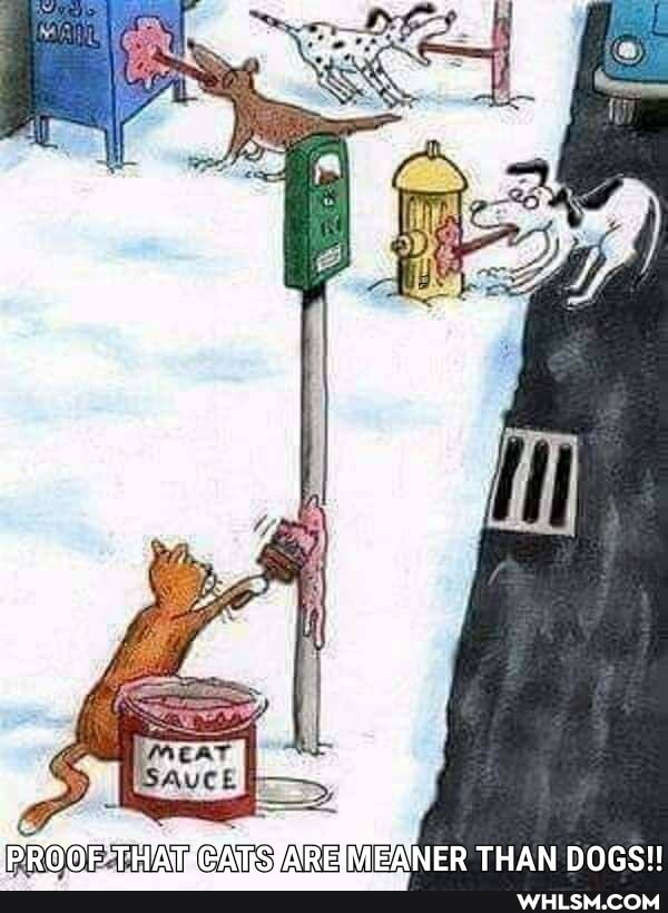 MEANER THAN DOGS!